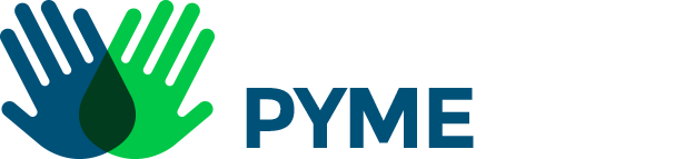 Voluntario Pyme: universitarios y académicos capacitan a microempresarios de la Región para reducir la brecha digital